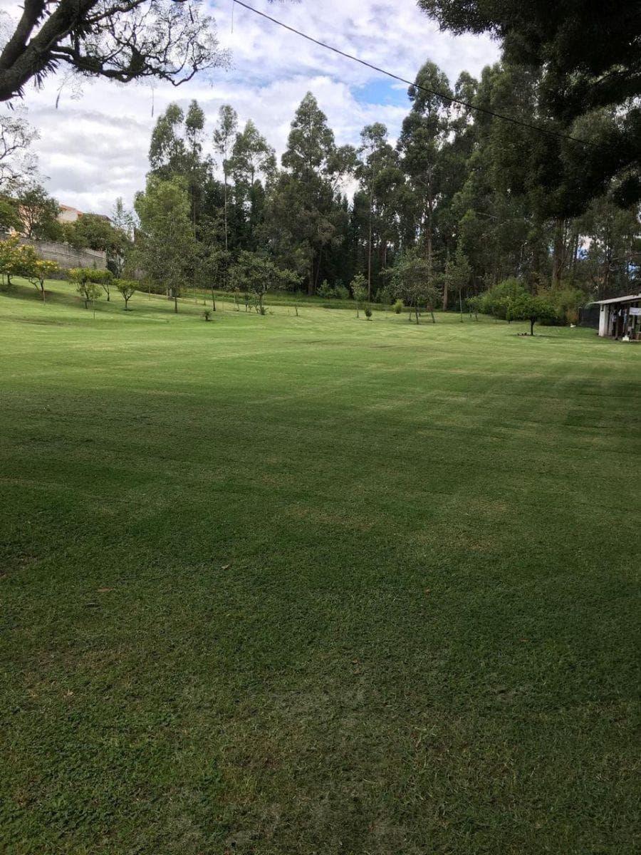 Para Usos Múltiples, Arriendo Hermoso Terreno, con Árboles y Superficie de Césped. Sangolquí — imagen 5