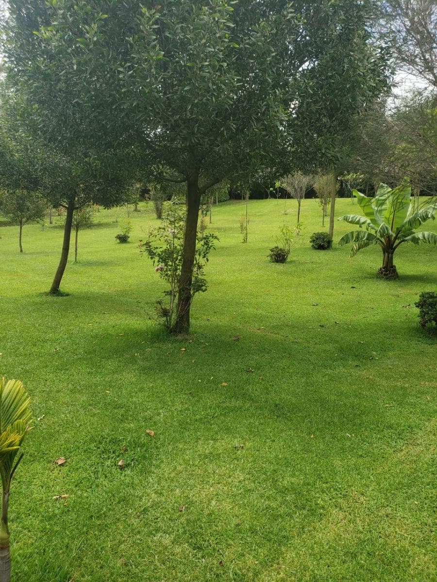 Para Usos Múltiples, Arriendo Hermoso Terreno, con Árboles y Superficie de Césped. Sangolquí — imagen 3