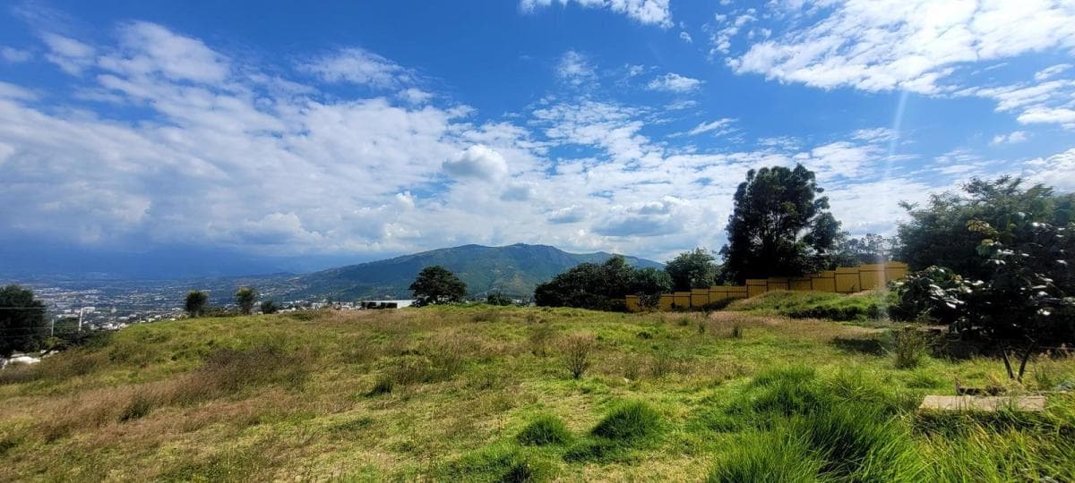 Terreno en Arriendo Para Distinto Tipo de Negocio — imagen 4