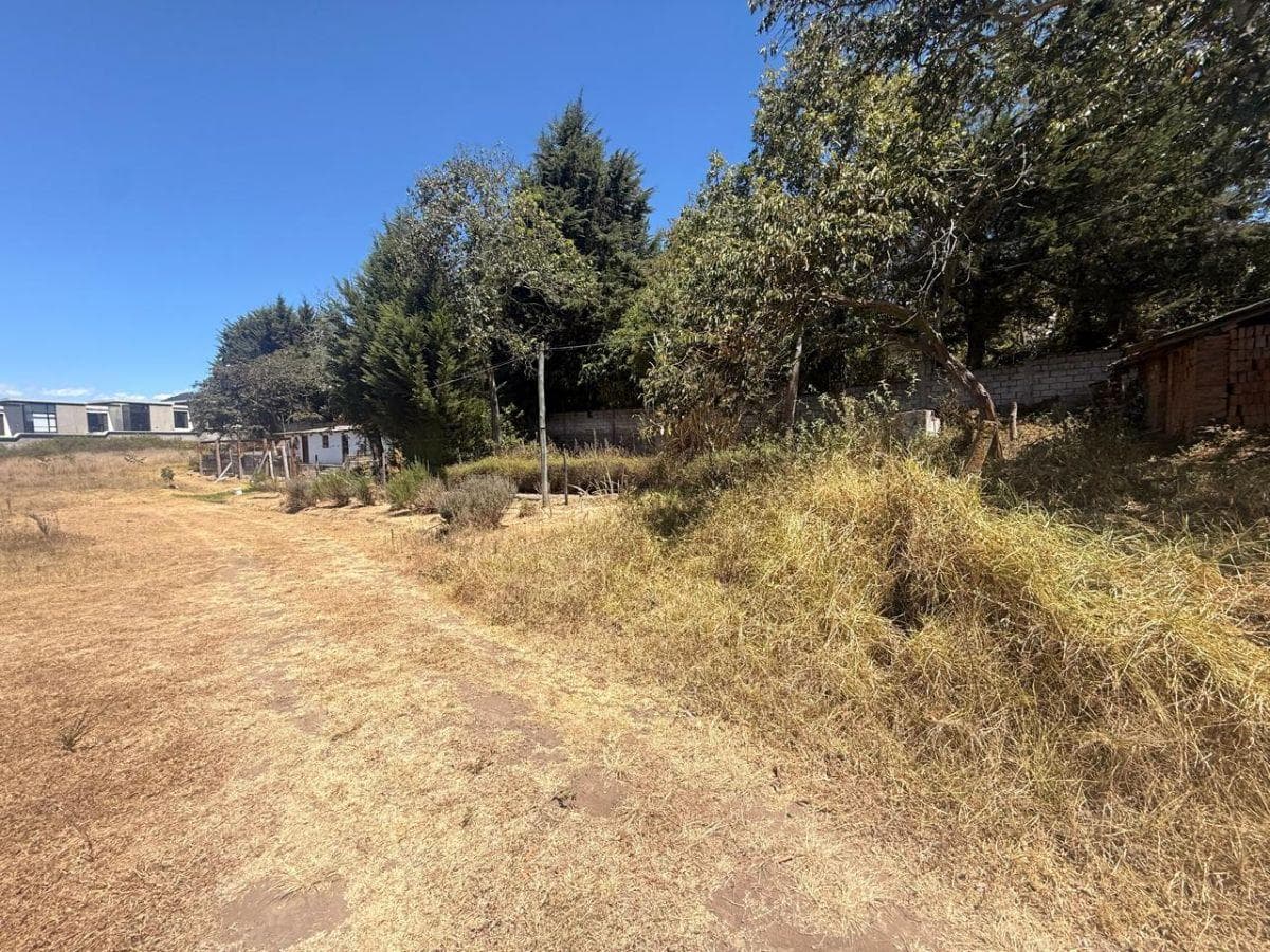 Excelente Terreno de Venta en Cumbaya Para Proyecto Inmobiliario! — imagen 3