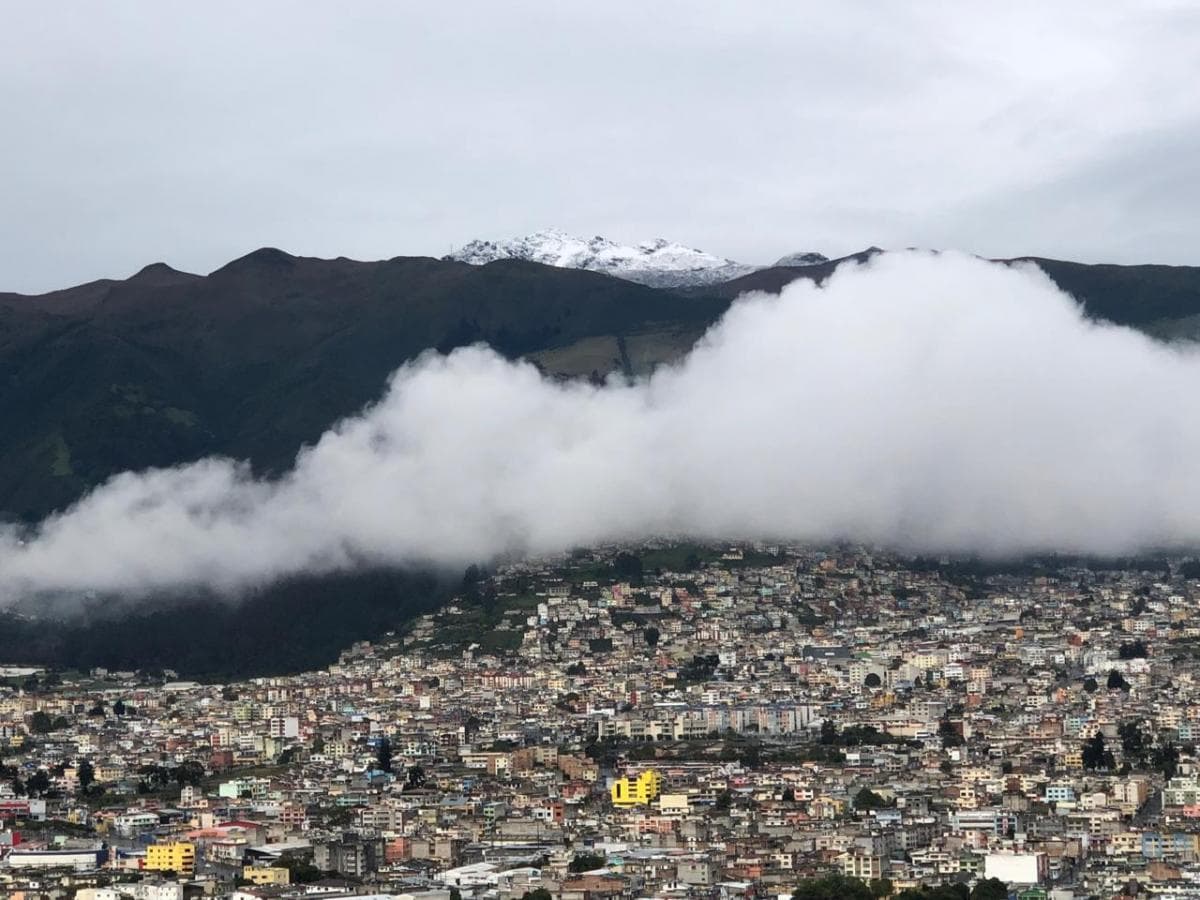 Departamento Grande en Venta Real Audiencia — imagen 3