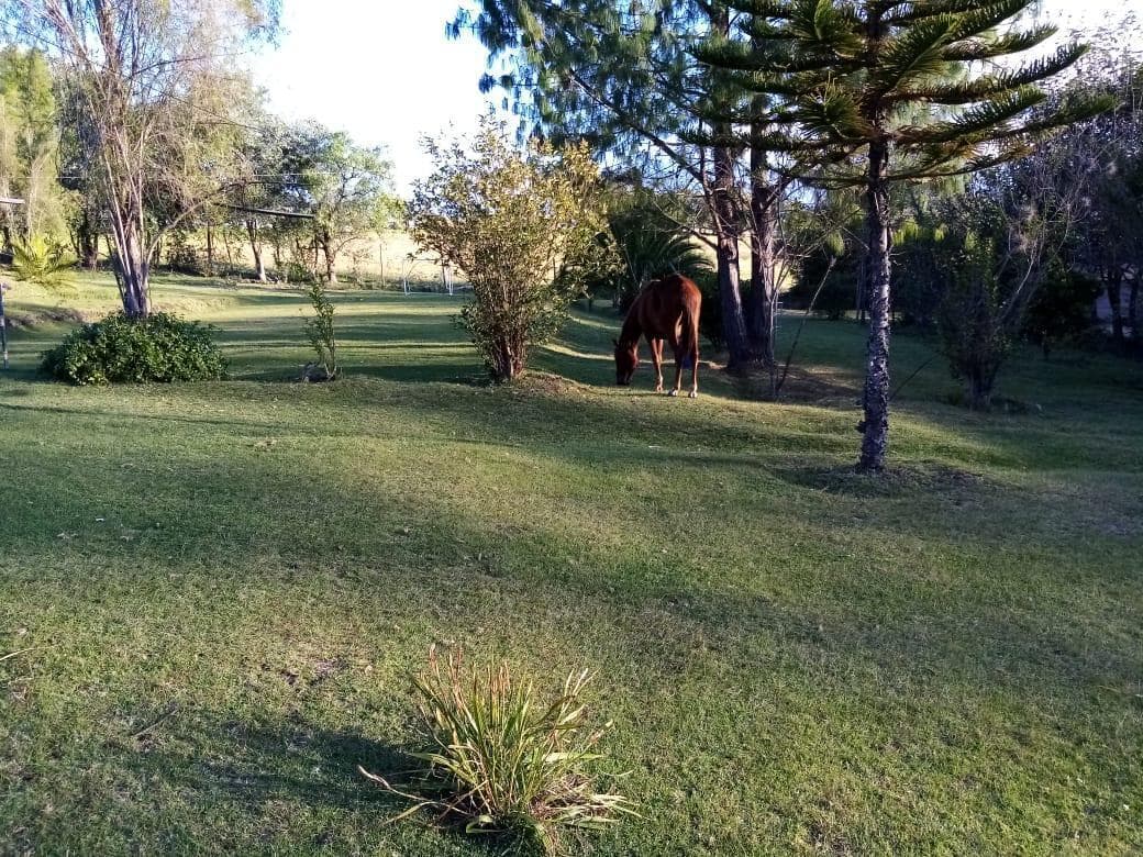 Checa Venta Terreno 11.225 m² Propiedad en Produccion — imagen 1