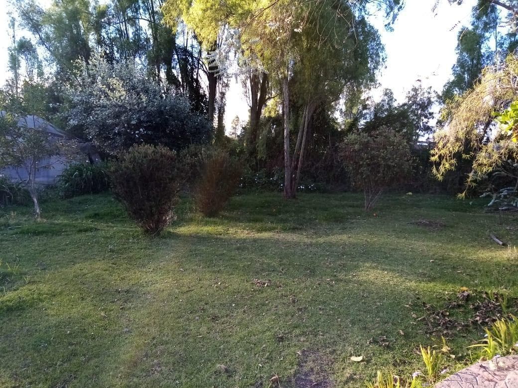 Checa Venta Terreno 11.225 m² Propiedad en Produccion — imagen 8