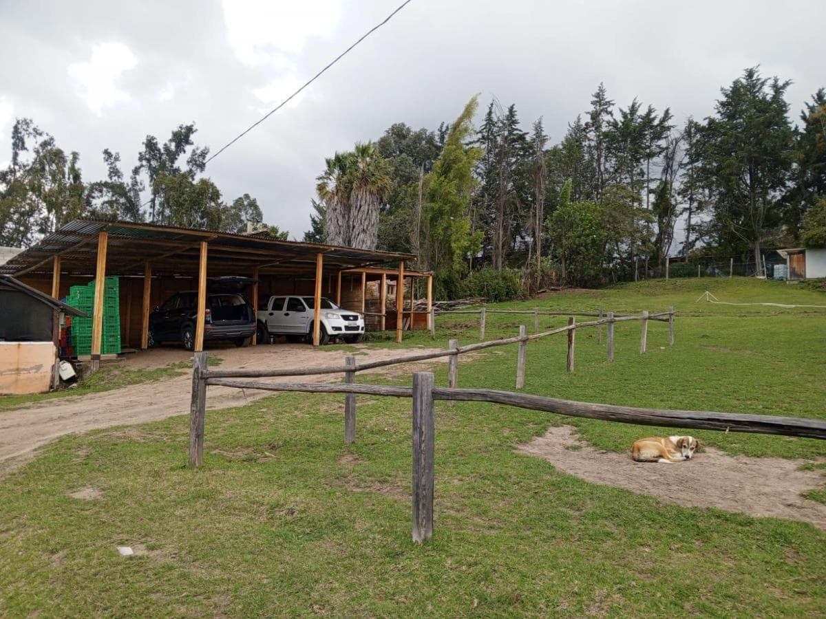 Checa Venta Terreno 11.225 m² Propiedad en Produccion — imagen 7