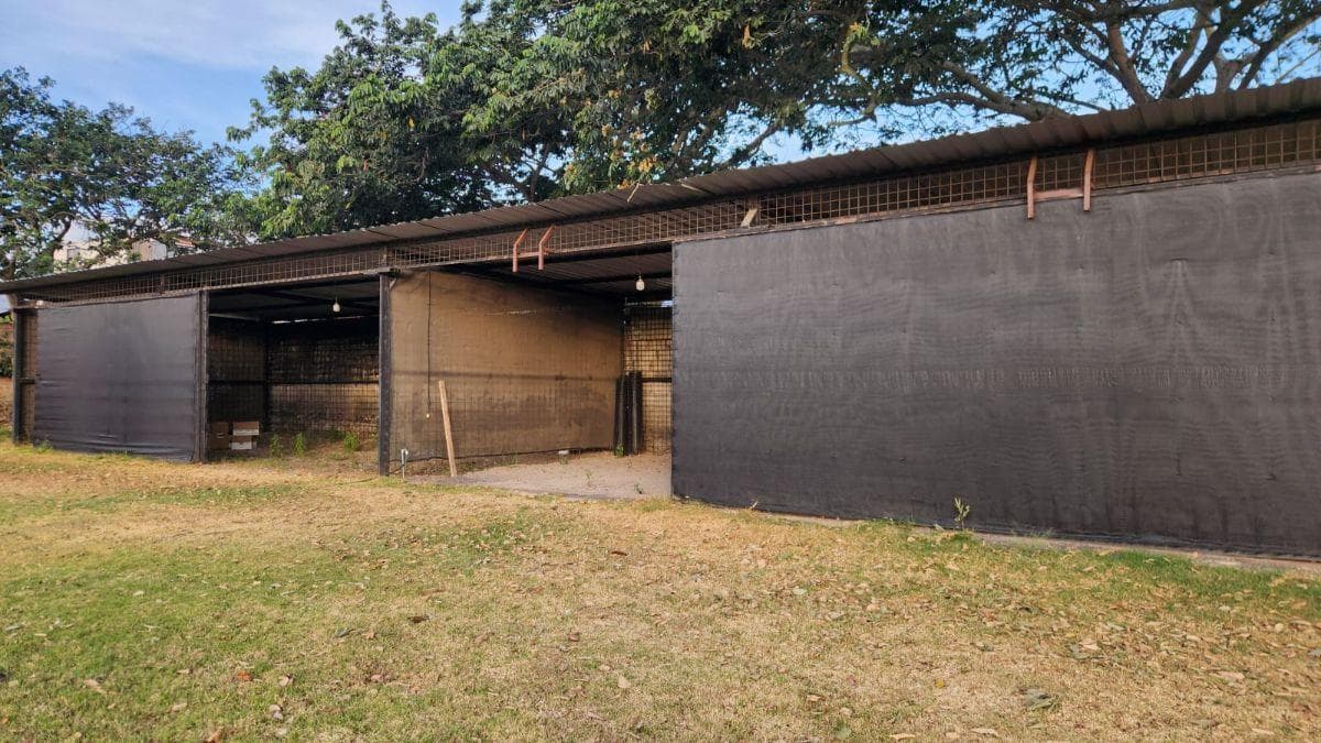 Terreno de 4396 m² en Arriendo en Tumbaco — imagen 5