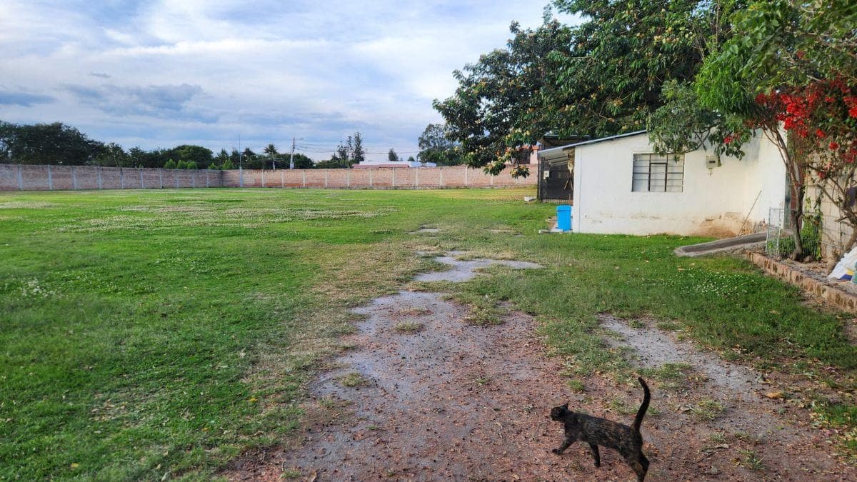 Terreno de 4396 m² en Arriendo en Tumbaco — imagen 2