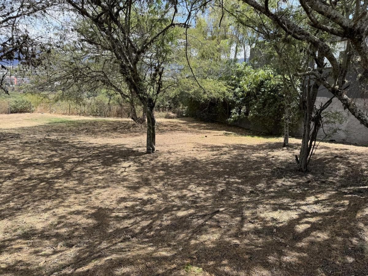 Cumbaya - Sector La Viña 1454 m² en Venta Terreno Bifamiliar en Urbanización de Lujo — imagen 8