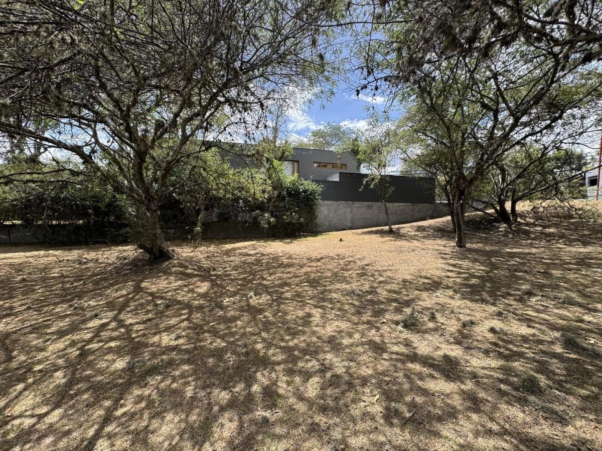Cumbaya - Sector La Viña 1454 m² en Venta Terreno Bifamiliar en Urbanización de Lujo — imagen 6
