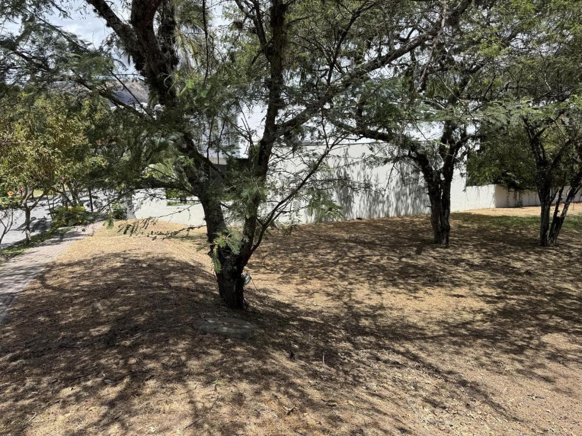 Cumbaya - Sector La Viña 1454 m² en Venta Terreno Bifamiliar en Urbanización de Lujo — imagen 3