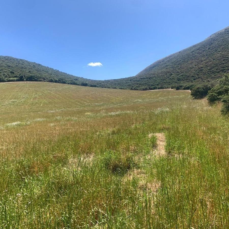 Venta 50000 m Terreno Sector Calacalí, No Industrial — imagen 1