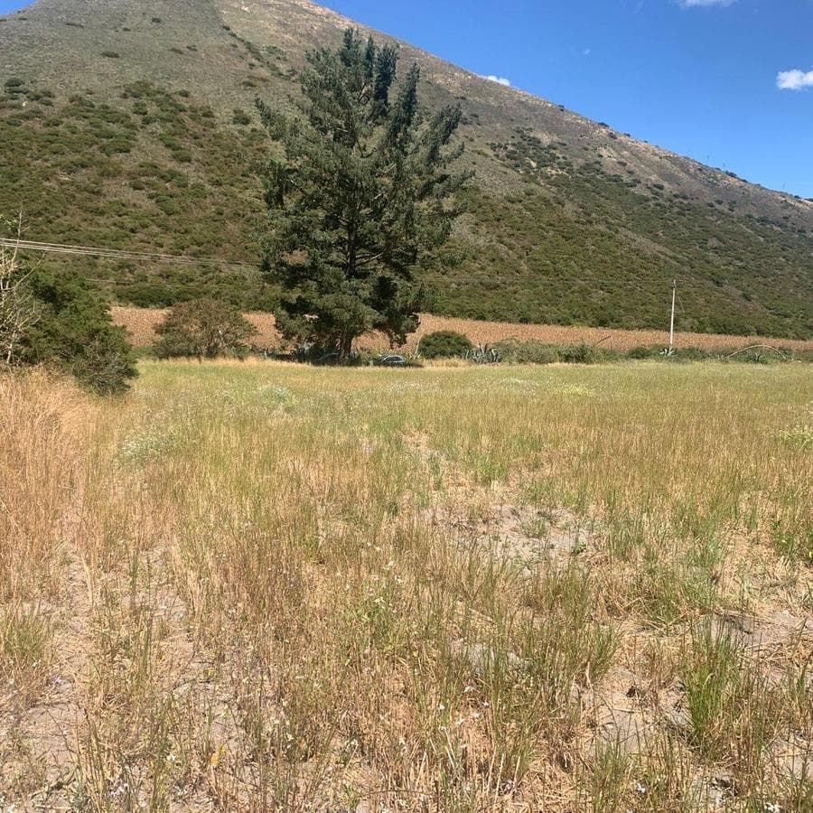 Venta 50000 m Terreno Sector Calacalí, No Industrial — imagen 10
