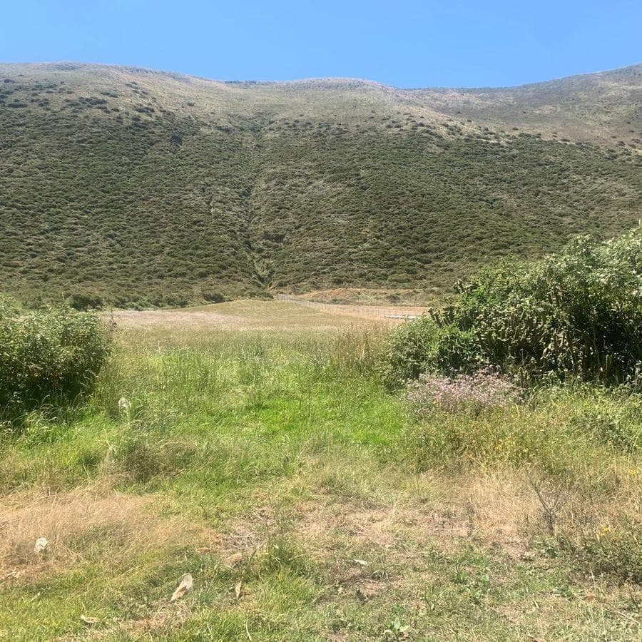 Venta 50000 m Terreno Sector Calacalí, No Industrial — imagen 8