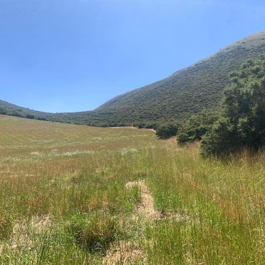 Venta 50000 m Terreno Sector Calacalí, No Industrial — imagen 7