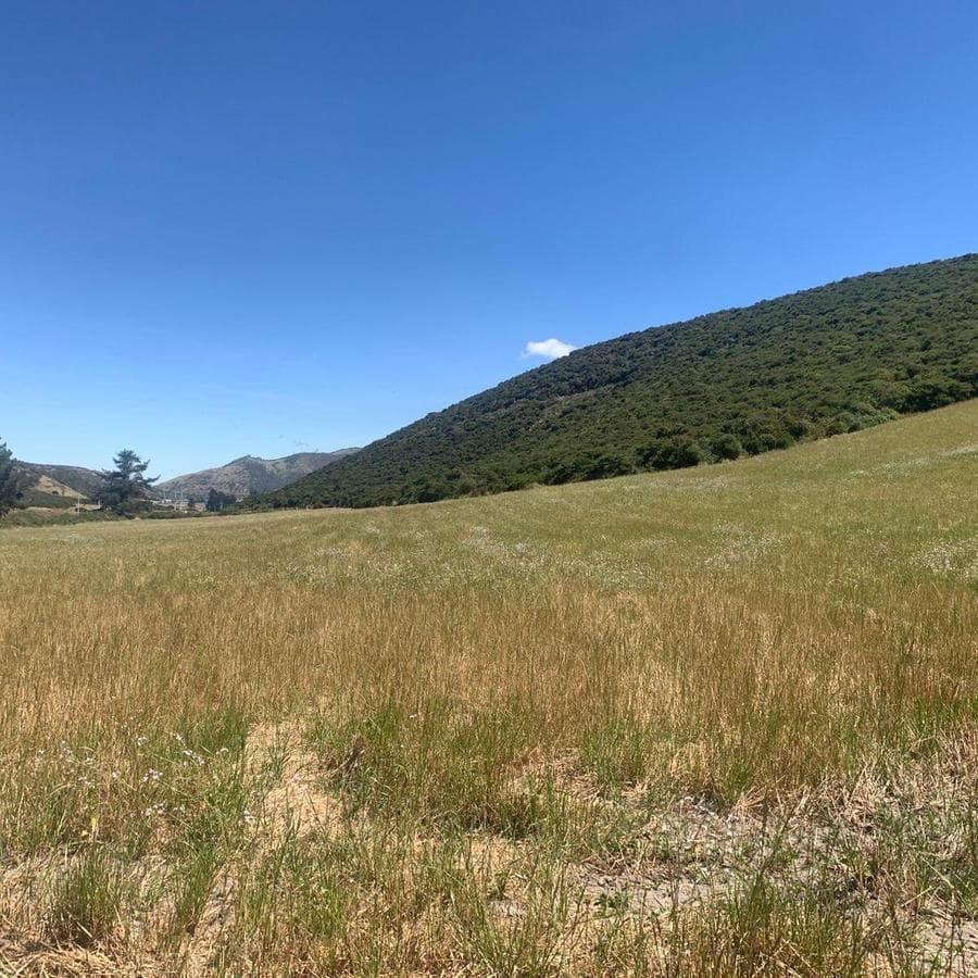 Venta 50000 m Terreno Sector Calacalí, No Industrial — imagen 6