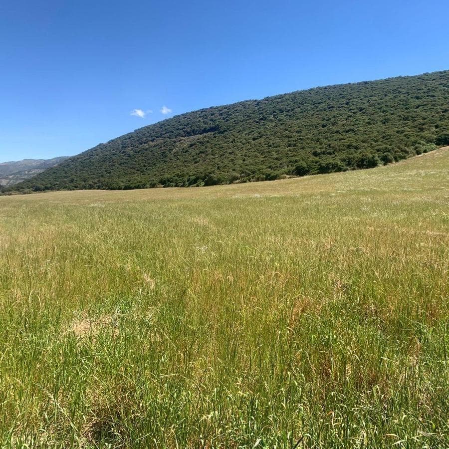 Venta 50000 m Terreno Sector Calacalí, No Industrial — imagen 5