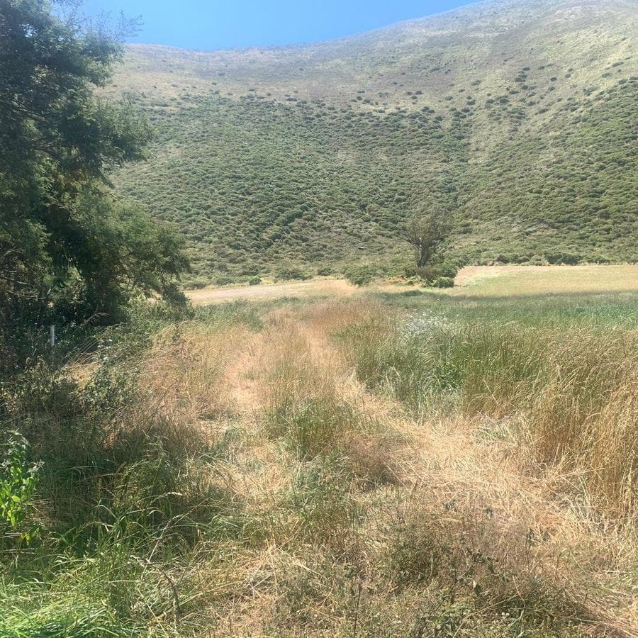 Venta 50000 m Terreno Sector Calacalí, No Industrial — imagen 2