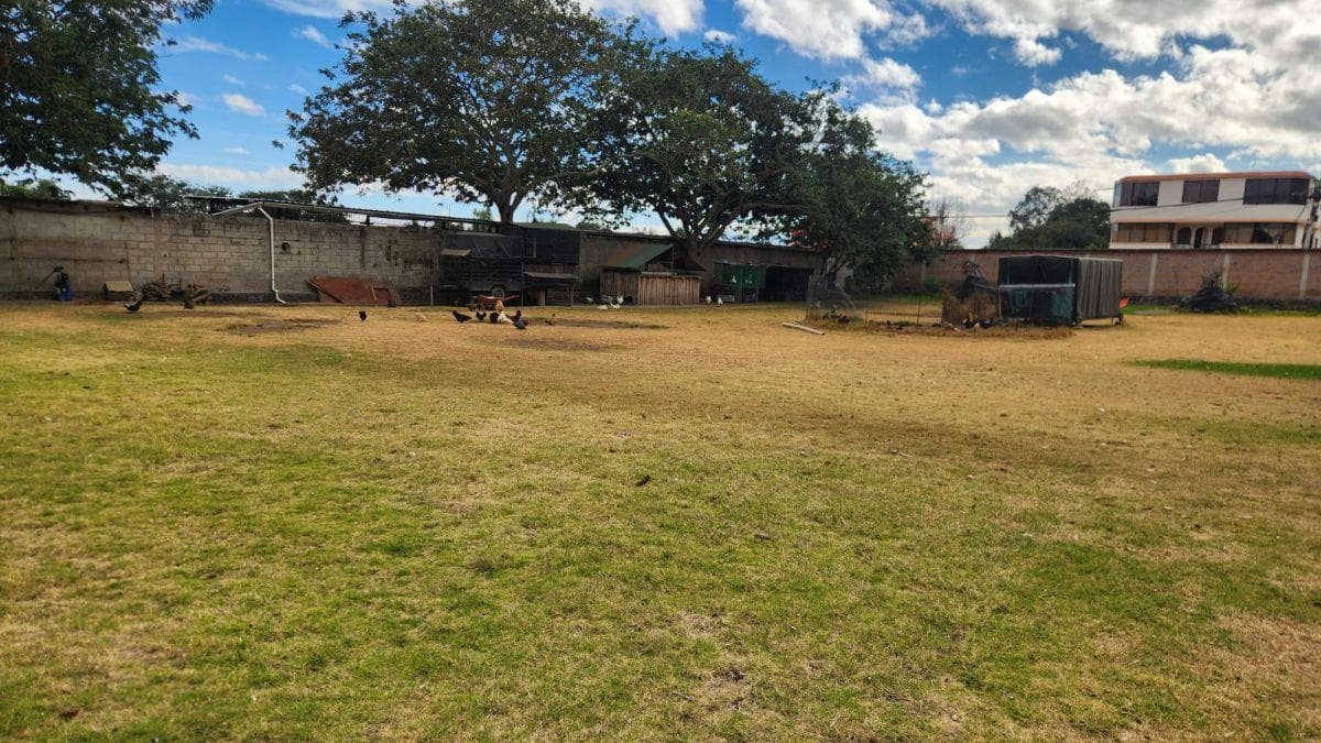 Terreno de 2560 m² en Alquiler en Tumbaco Mas Suite — imagen 5
