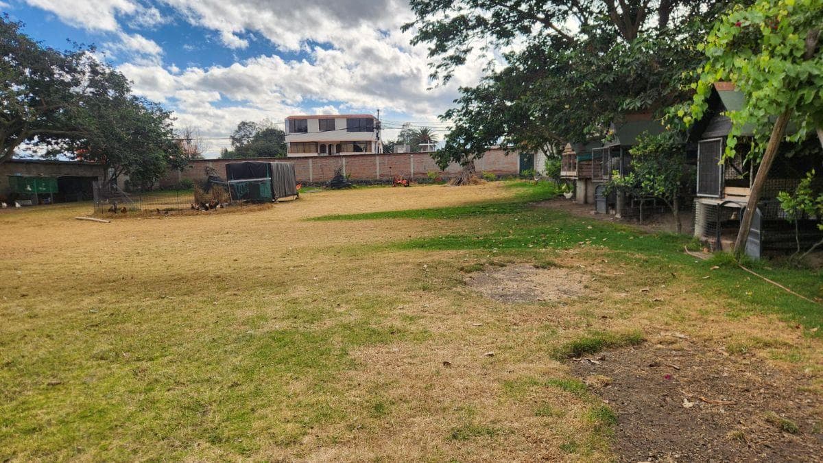 Terreno de 2560 m² en Alquiler en Tumbaco Mas Suite — imagen 4