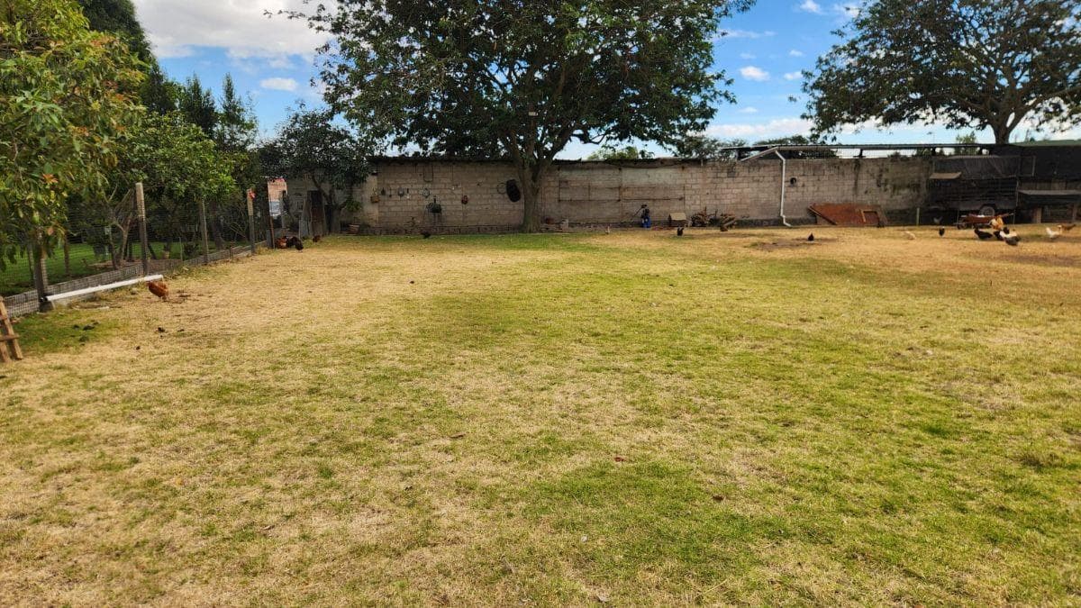 Terreno de 2560 m² en Alquiler en Tumbaco Mas Suite — imagen 2