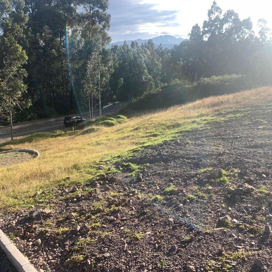 Venta Terreno 3500 m² Dentro de Urbanizacion Valle de Los Chillos Altos de Betania — imagen 10