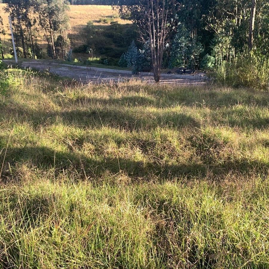 Venta Terreno 3500 m² Dentro de Urbanizacion Valle de Los Chillos Altos de Betania — imagen 7