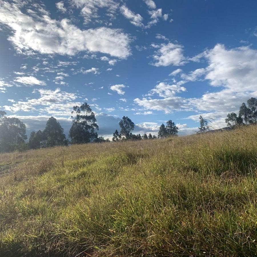 Venta Terreno 3500 m² Dentro de Urbanizacion Valle de Los Chillos Altos de Betania — imagen 6