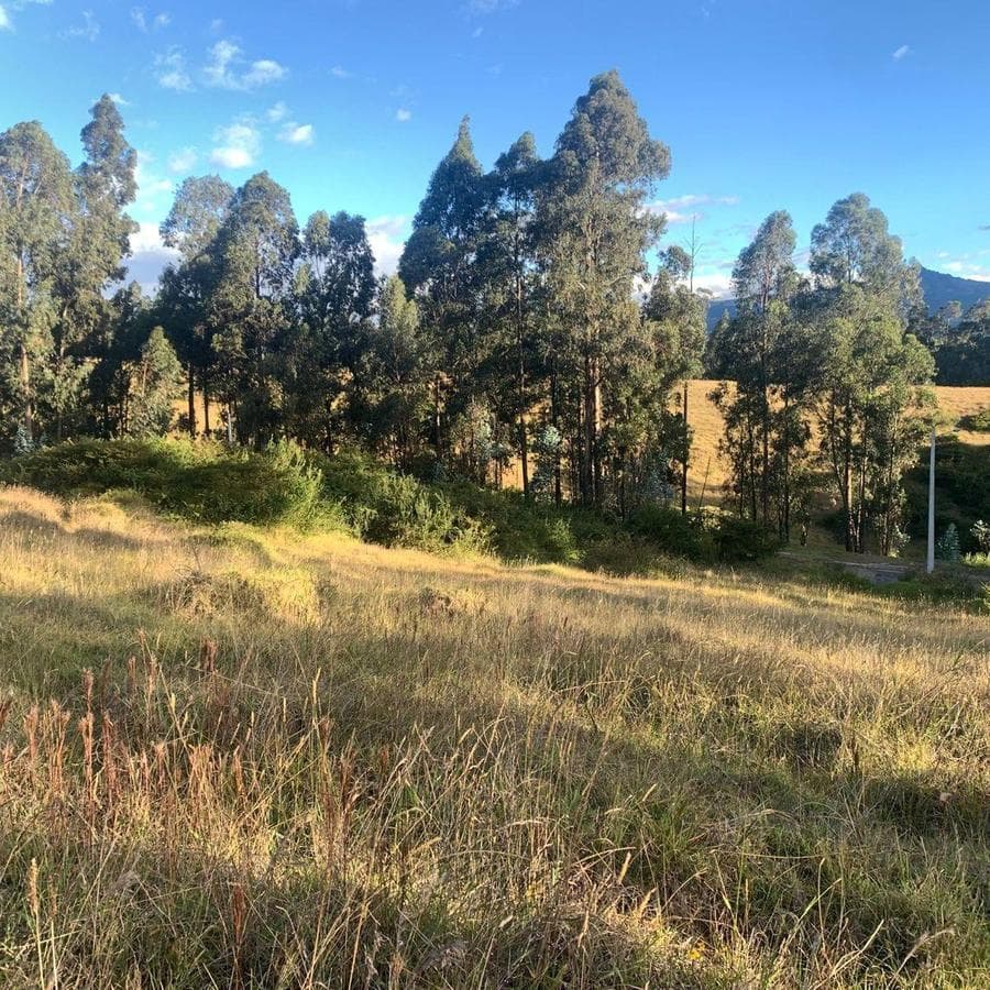 Venta Terreno 3500 m² Dentro de Urbanizacion Valle de Los Chillos Altos de Betania — imagen 5