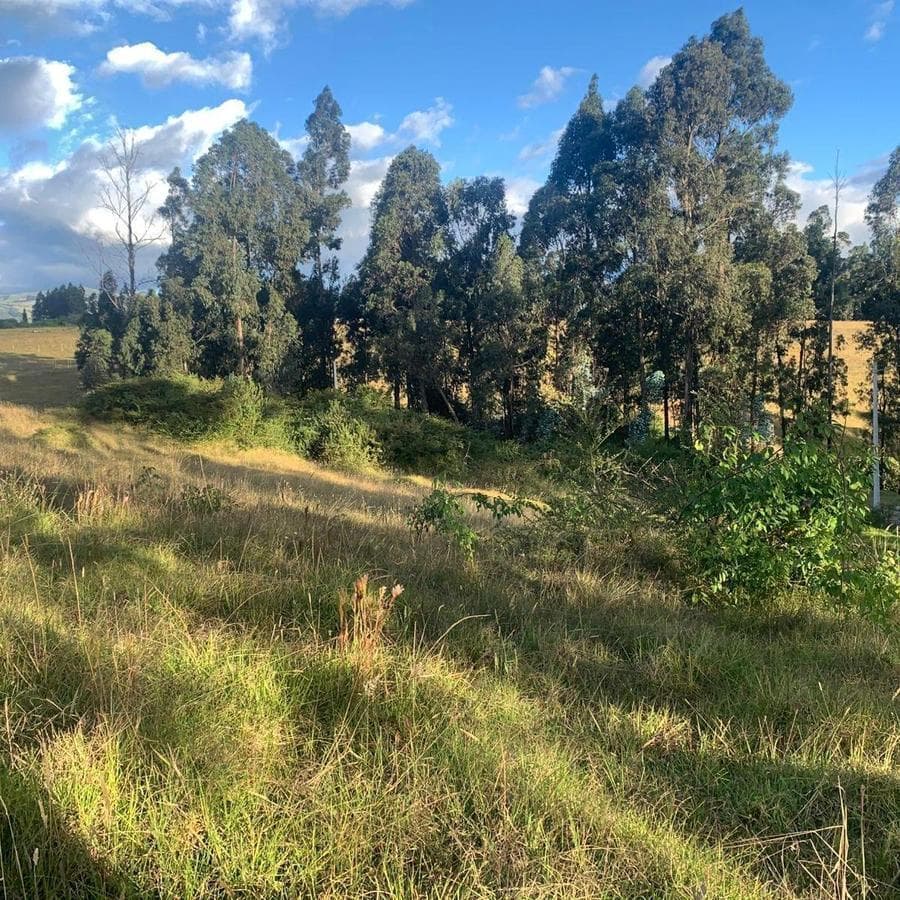 Venta Terreno 3500 m² Dentro de Urbanizacion Valle de Los Chillos Altos de Betania — imagen 2