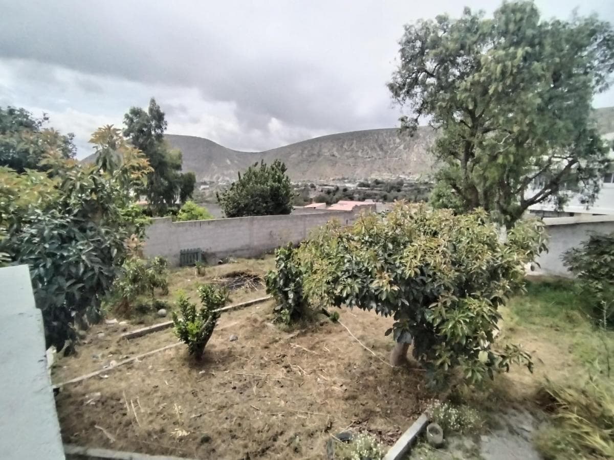 Casa en Venta con Habitación en Planta Baja, Suite y Jardin en La Mitad del Mundo — imagen 10
