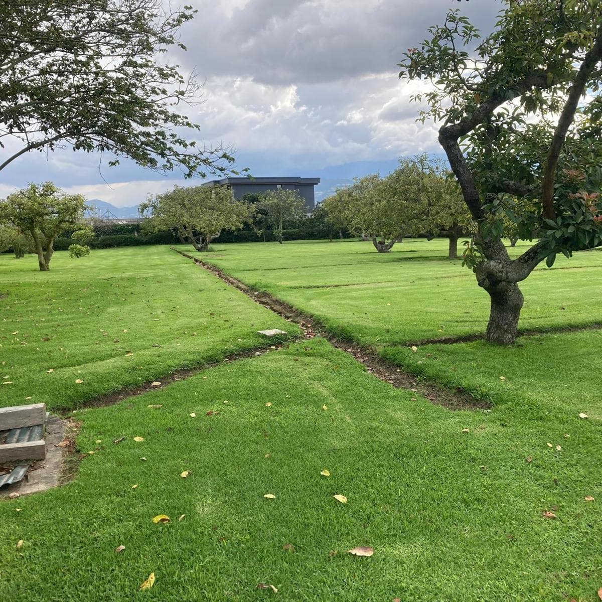Puembo Venta Terreno 1250 m², Dentro de Urbanización, Tenemos Lotes Mas Grandes — imagen 1