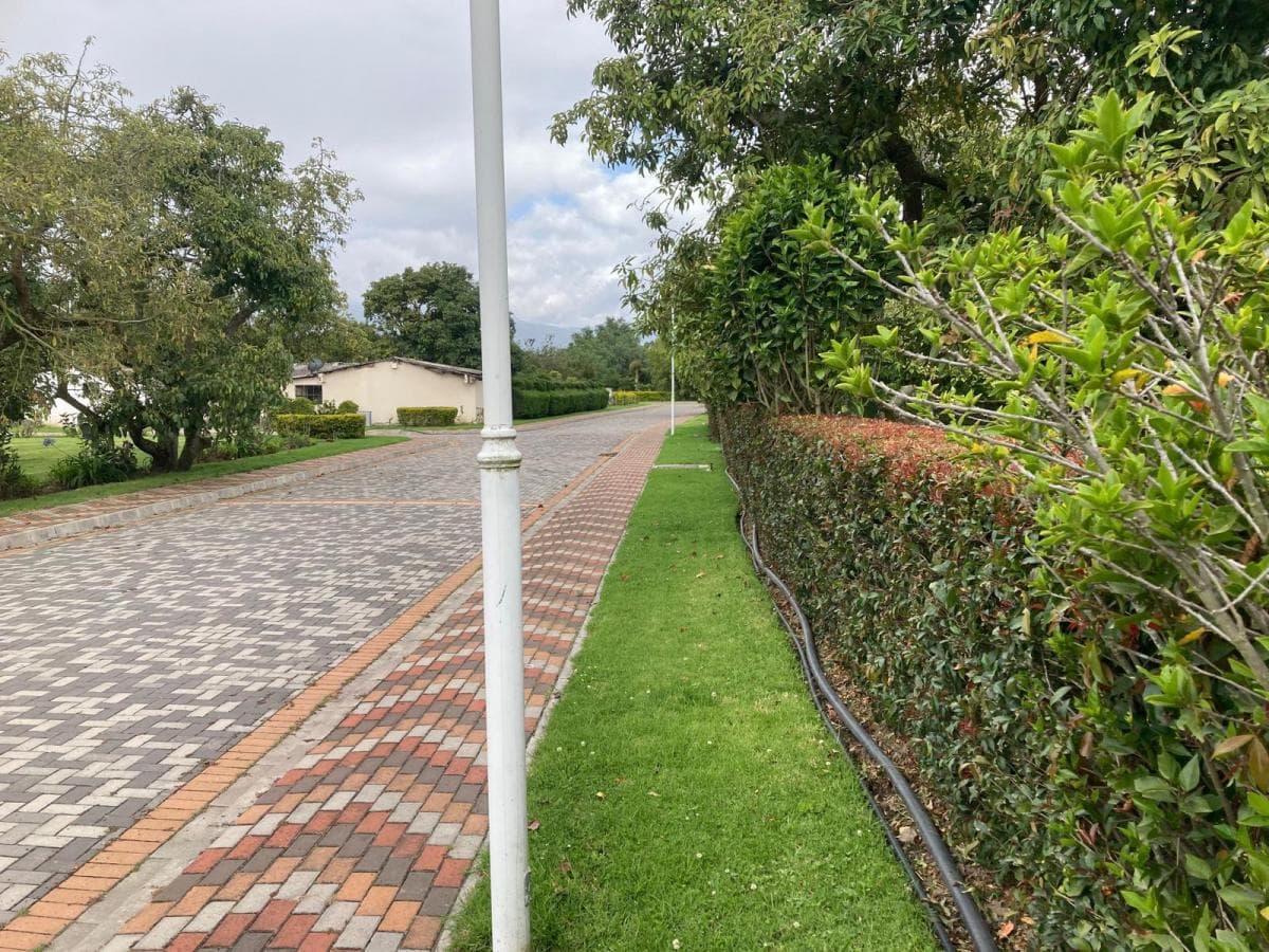 Puembo Venta Terreno 1250 m², Dentro de Urbanización, Tenemos Lotes Mas Grandes — imagen 6