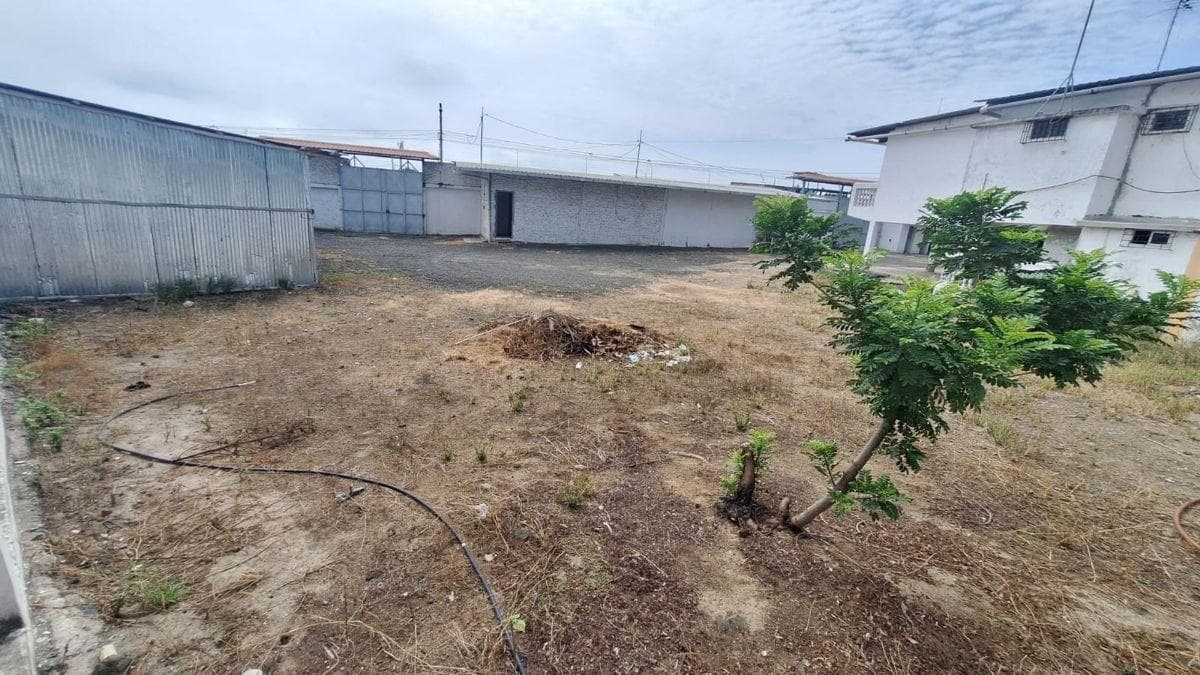 Terreno de Venta en Manta Zona Norte San Pedro, Manabí — imagen 5
