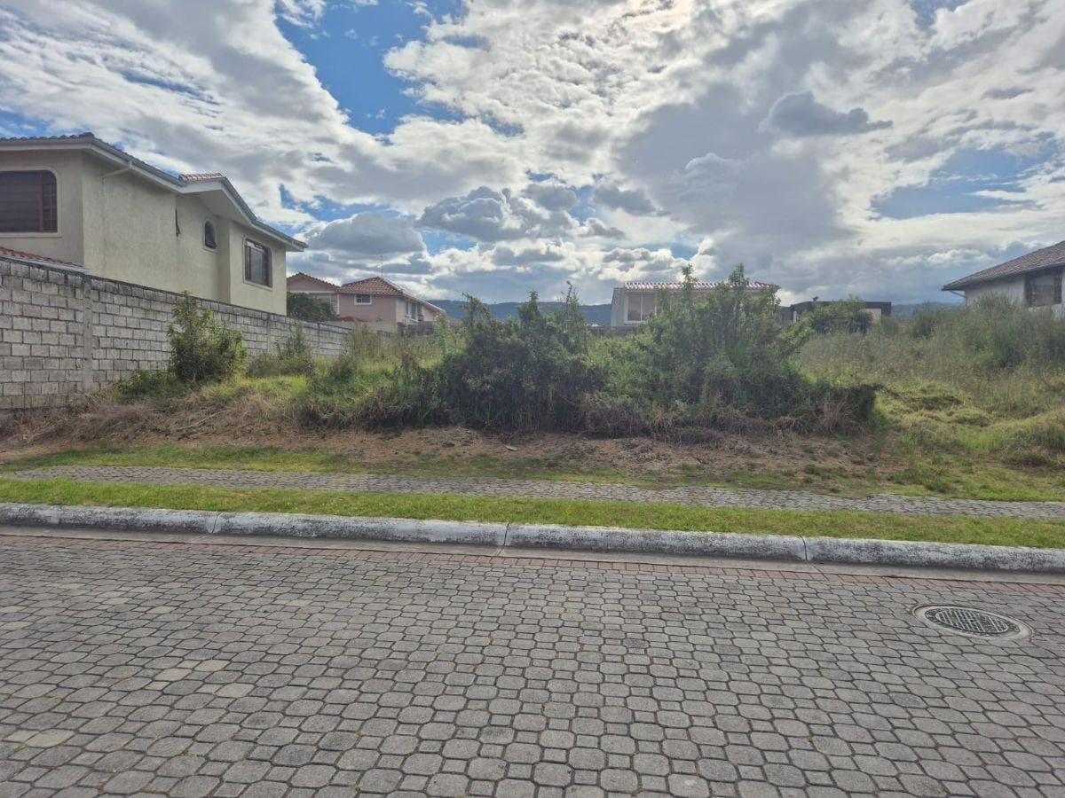 Terreno en Venta Sector San Pedro de Taboada - Valle de Los Chillos — imagen 1