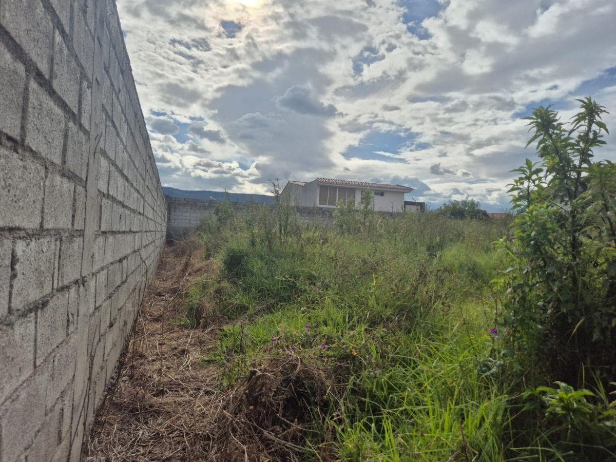 Terreno en Venta Sector San Pedro de Taboada - Valle de Los Chillos — imagen 6