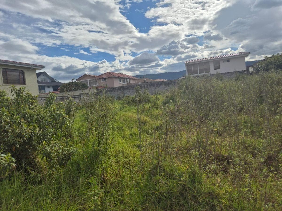 Terreno en Venta Sector San Pedro de Taboada - Valle de Los Chillos — imagen 5
