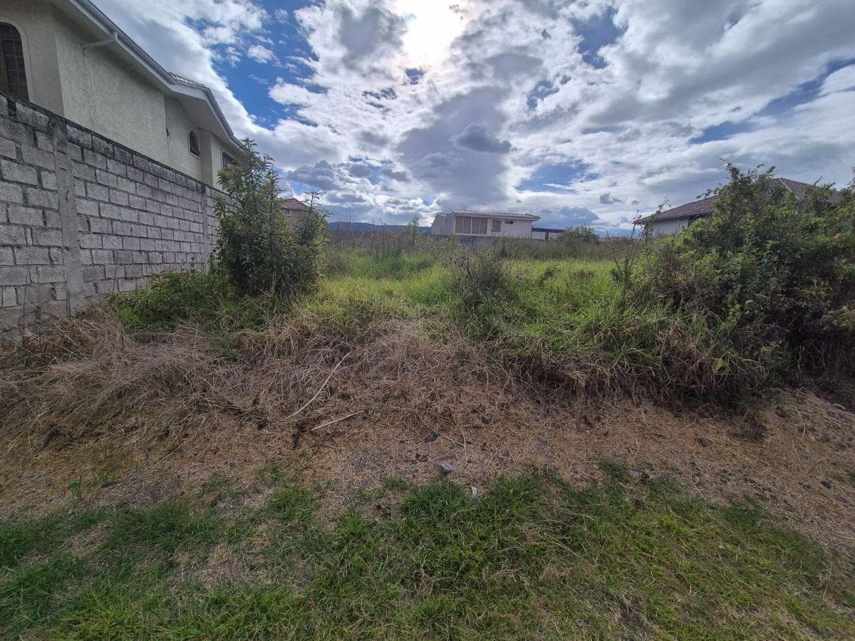 Terreno en Venta Sector San Pedro de Taboada - Valle de Los Chillos — imagen 4