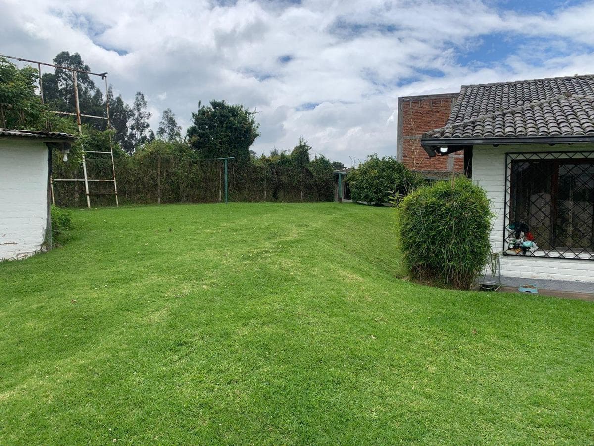 Pifo Venta Hermoso Terreno 1800 m² Tiiene Una Casa Campestre y un Departamento — imagen 8