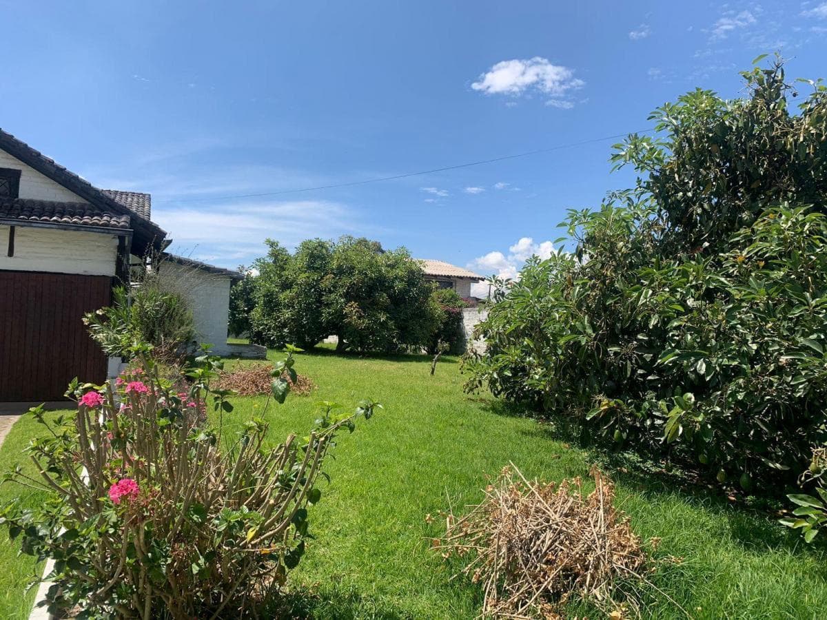 Pifo Venta Hermoso Terreno 1800 m² Tiiene Una Casa Campestre y un Departamento — imagen 7