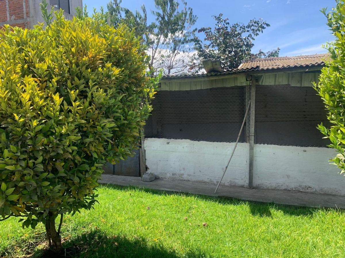 Pifo Venta Hermoso Terreno 1800 m² Tiiene Una Casa Campestre y un Departamento — imagen 5