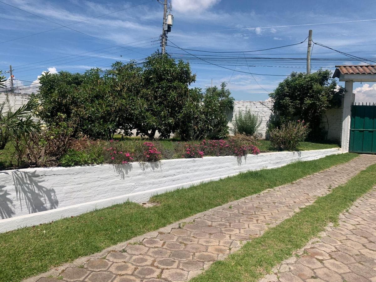 Pifo Venta Hermoso Terreno 1800 m² Tiiene Una Casa Campestre y un Departamento — imagen 3