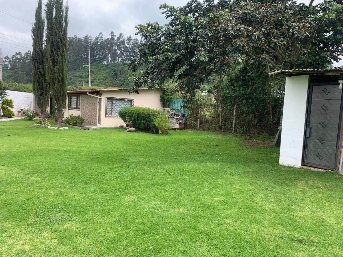 Pifo Venta Hermoso Terreno 1800 m² Tiiene Una Casa Campestre y un Departamento — imagen 2