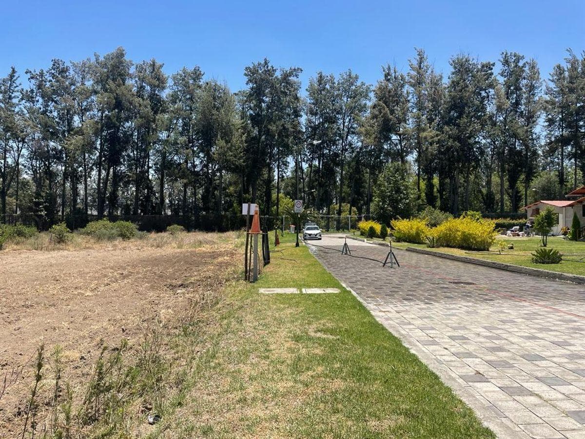 Puembo, Espectaulares Terrenos Planos en Urbanización 1250 m² y 1175,77 m², Naturaleza y Tranquilidad — imagen 7