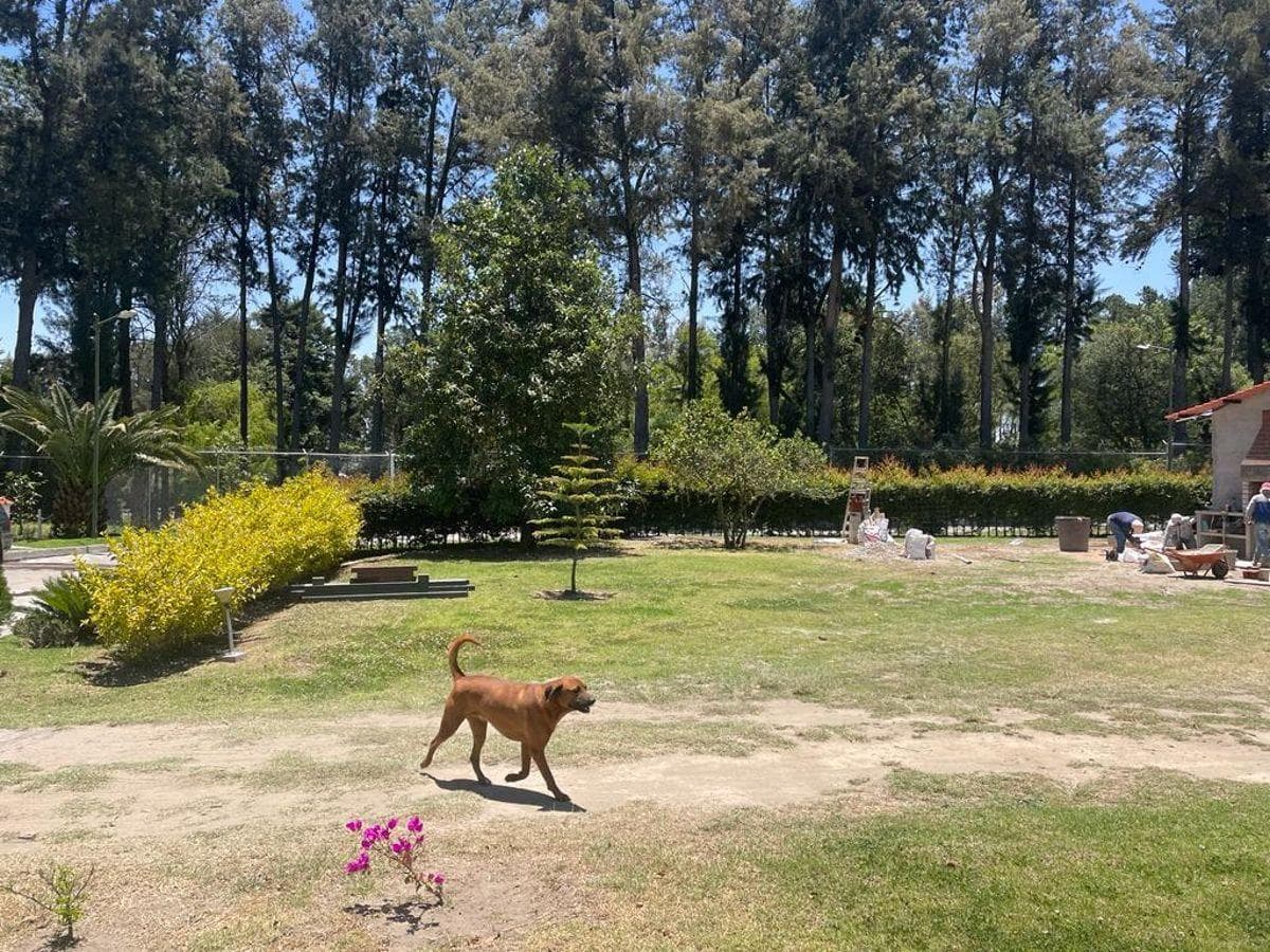 Puembo, Espectaulares Terrenos Planos en Urbanización 1250 m² y 1175,77 m², Naturaleza y Tranquilidad — imagen 6