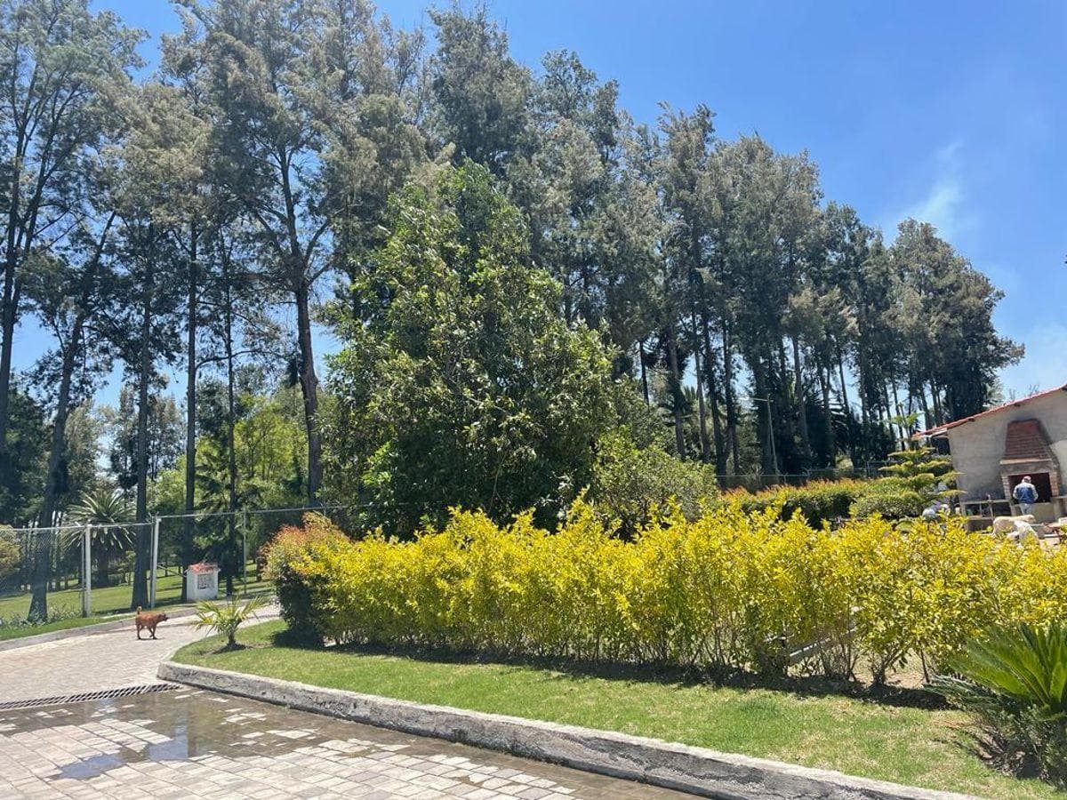 Puembo, Espectaulares Terrenos Planos en Urbanización 1250 m² y 1175,77 m², Naturaleza y Tranquilidad — imagen 5