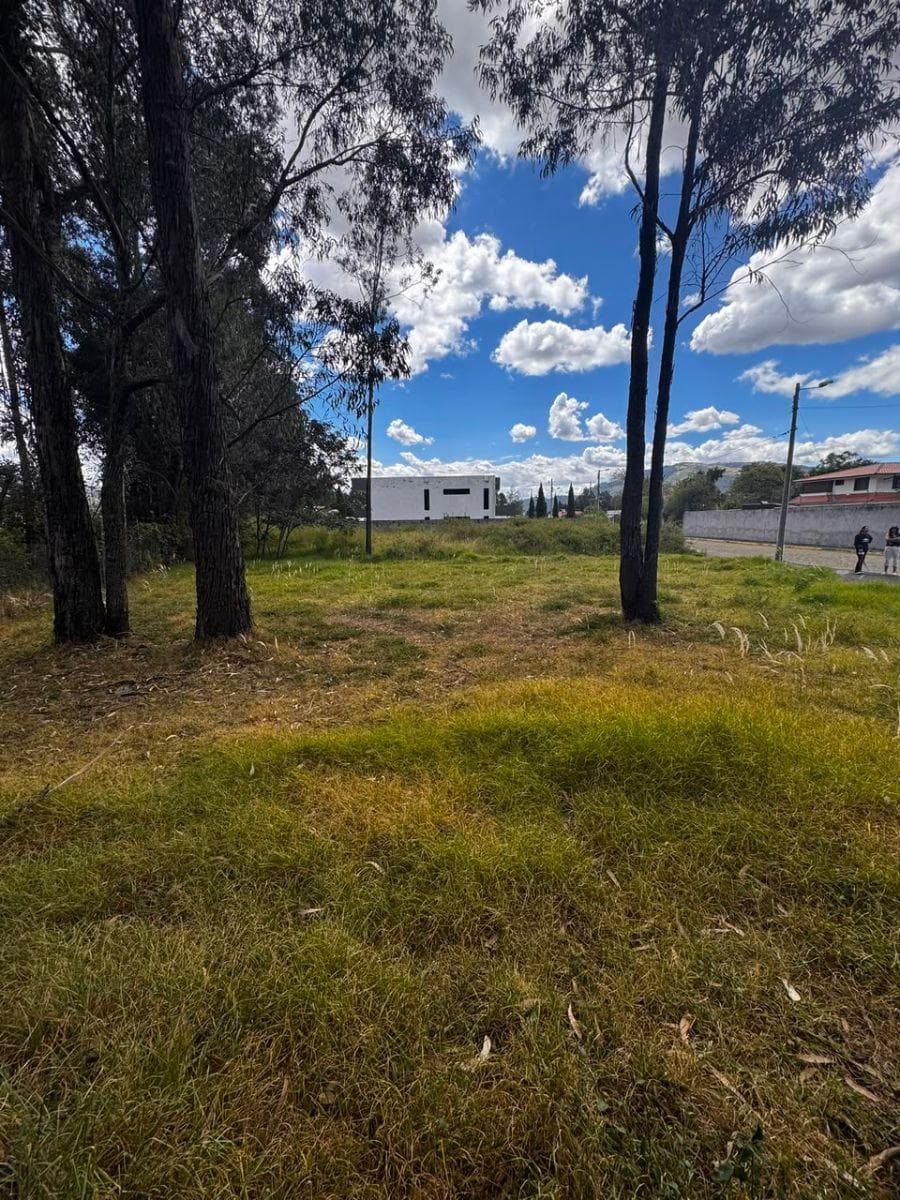Terreno Plano, San Pedro Taboada, Urbanización Capelo, 853 m². Valle de Los Chillos. Precio $164.000 — imagen 5