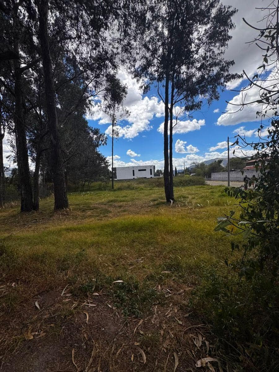 Terreno Plano, San Pedro Taboada, Urbanización Capelo, 853 m². Valle de Los Chillos. Precio $164.000 — imagen 4