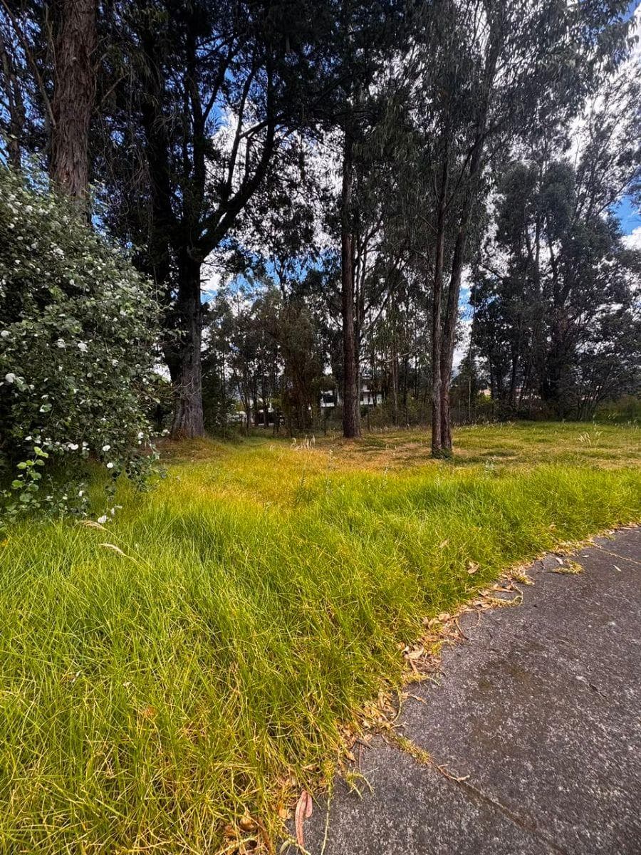 Terreno Plano, San Pedro Taboada, Urbanización Capelo, 853 m². Valle de Los Chillos. Precio $164.000 — imagen 3