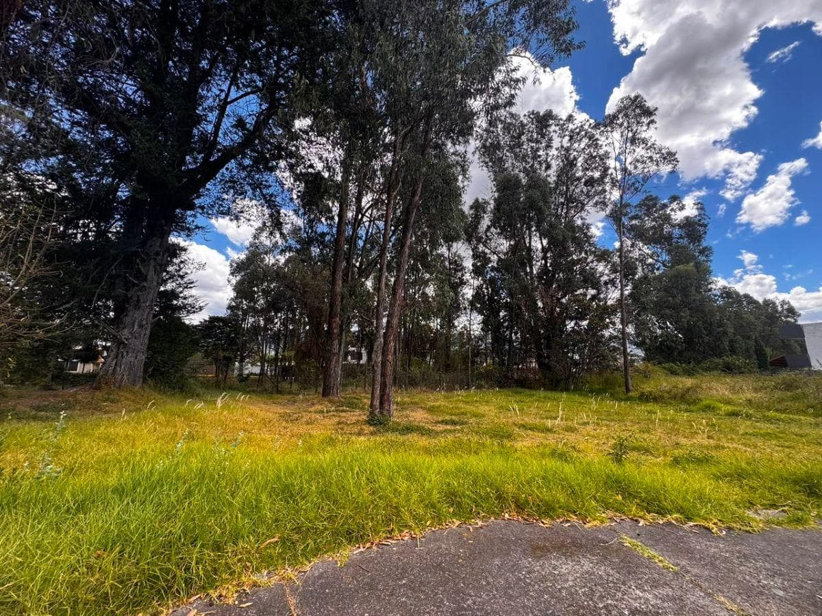 Terreno Plano, San Pedro Taboada, Urbanización Capelo, 853 m². Valle de Los Chillos. Precio $164.000 — imagen 2