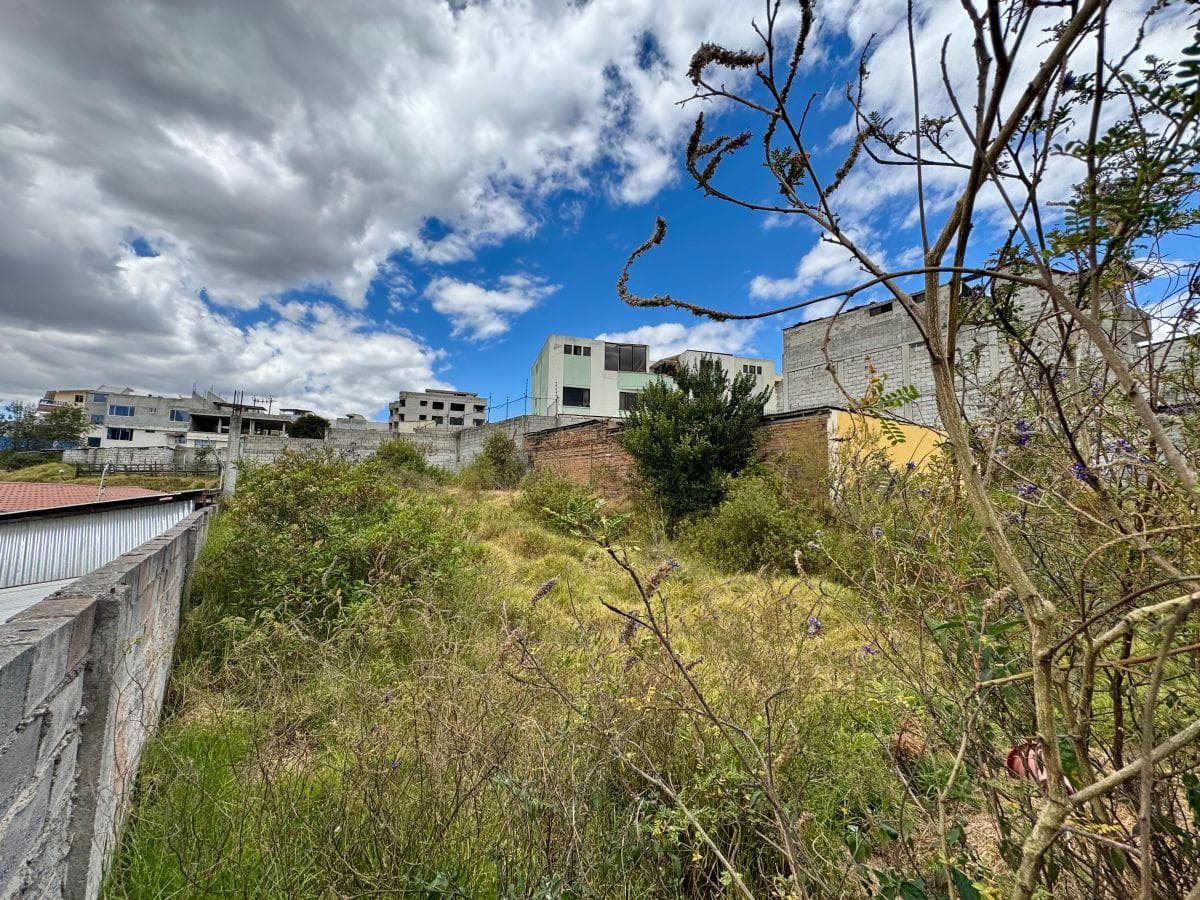 Venta Terreno 471 m² en San Isidro del Inca — imagen 4