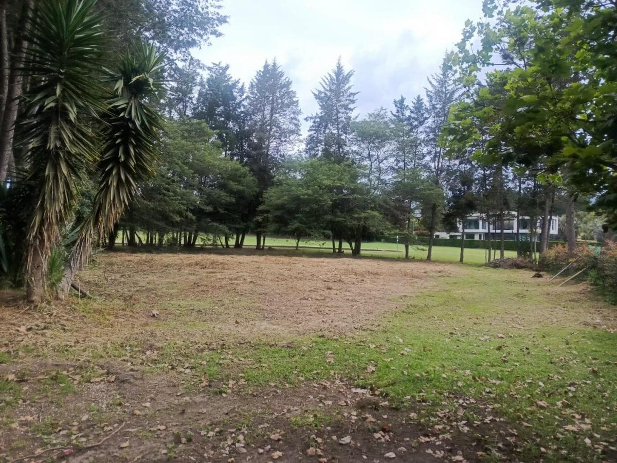Terreno en Arrayanes Country Club - Precio Negociable — imagen 8